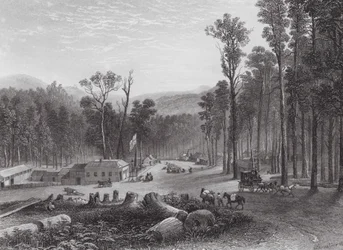 Australia: Marysville, Victory