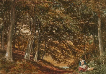Picnic in the Woods