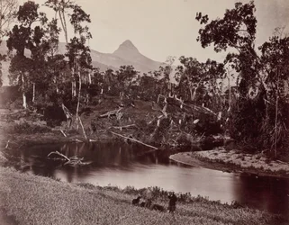 Ceylon Views to Adam