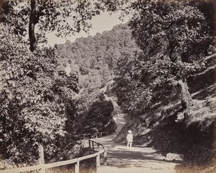 Shimla. The Mall near Rabq Lodge