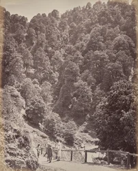 Shimla. View North of Mount Jakko