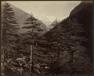 Snowy Peaks near Gangotri, from Bhairamghati