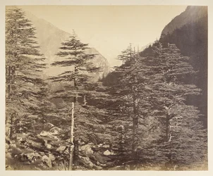 Snowy Peaks near Gangotri from Bhaironghati