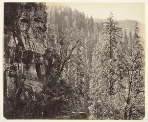 Untitled [Cliffs and Trees]