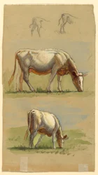 Drawing, Cattle, Two Grazing Cows and the Backs of Calves, 1875–80