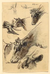 Drawing, Sketches. Cattle, Irvington, September 1876