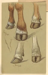 Studies After Cattle, 1871