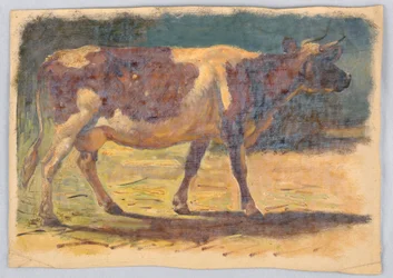 Studies. Cows, August 1876