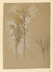 Oaks, Lady Wood Lane, Irvington