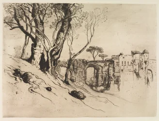 Olive Trees of the Riviera