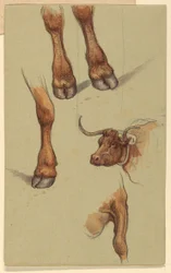 Sketches from Narragansett, Rhode Island
