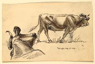 Sketches of Cattle, Irvington