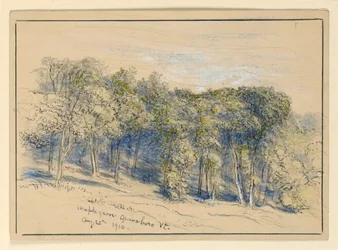Study of Maple Grove, Greensboro, Vermont