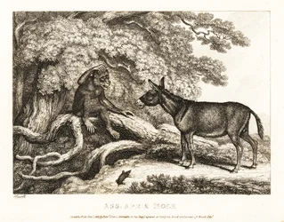 A Monkey and a Donkey Moan Until a Mole Silences Them