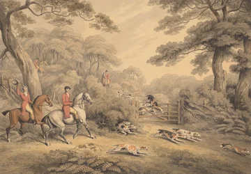 Foxhunting: Breaking Cover
