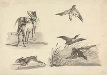 Sheet of Studies of Hounds, Hare, Falcon and Ducks