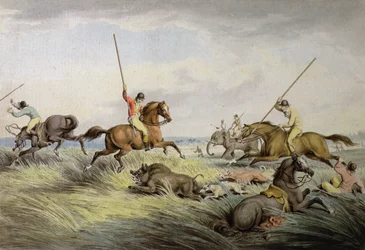 The Hog Chase - The Kill, from 