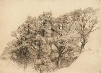 Landscape with trees