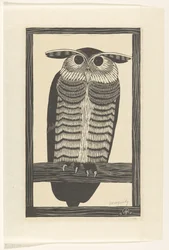 Horned owl