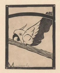 Pappie (Screaming Cockatoo)