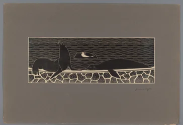 Sea Lions