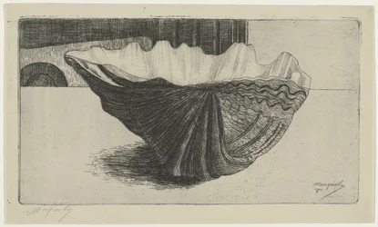 A Shell, Lying on Its Curve