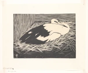 Stork (Maguar stork)