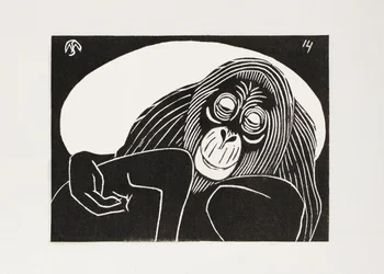 Orangutan