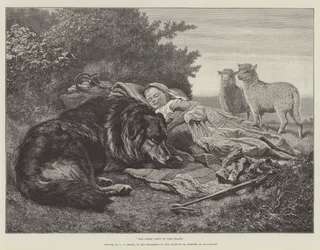 His First Visit to the Flock, in the Exhibition of the Institute of Painters in Oil-Colours