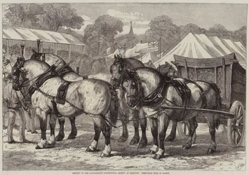 Meeting of the Lincolnshire Agricultural Society at Sleaford, First-Prize Team of Horses