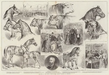 Sketches at the Royal Agricultural Society