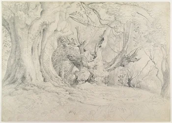 Ancient Trees, Lullingstone Park, 1828