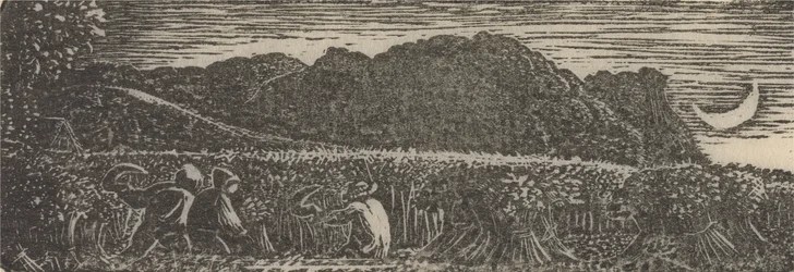 Harvest under a Crescent Moon