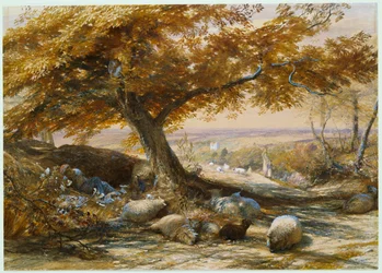 Sheep in the Shade, c. 1851