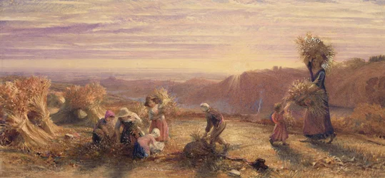 Sunset over the Gleaning Fields