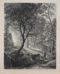 The Herdsman