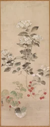 Summer Flowers