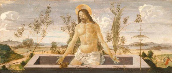 Christ in the Tomb