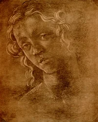 Female Head