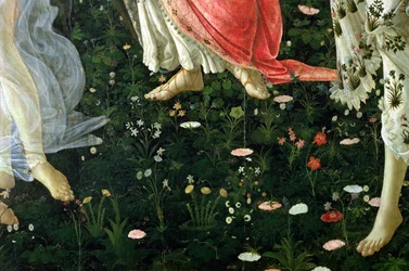 Primavera (detail)