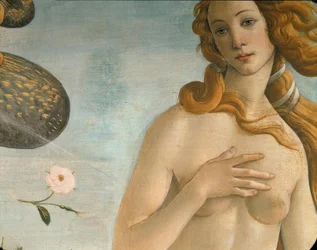 The Birth of Venus (Venus Anadyomene)