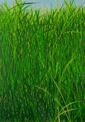 Summer Grass, 2020