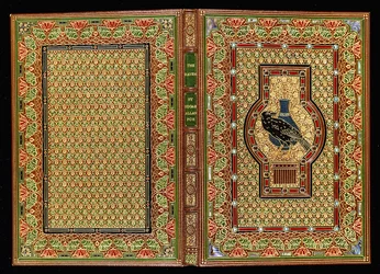 Binding for the book 