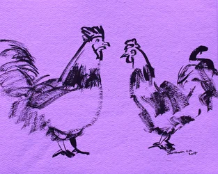 Bold Roosters Sketch
