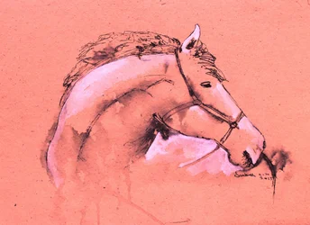 Graceful Horse Sketch