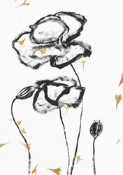 Minimalist Charcoal Poppies