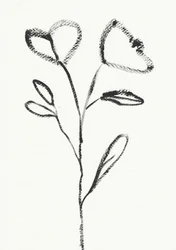 Minimalist Flower Sketch