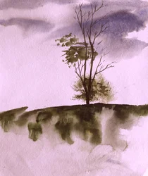 Moody Hillside Tree