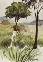 Peaceful Green Fields