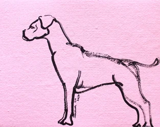 Pink Boxer Line Art